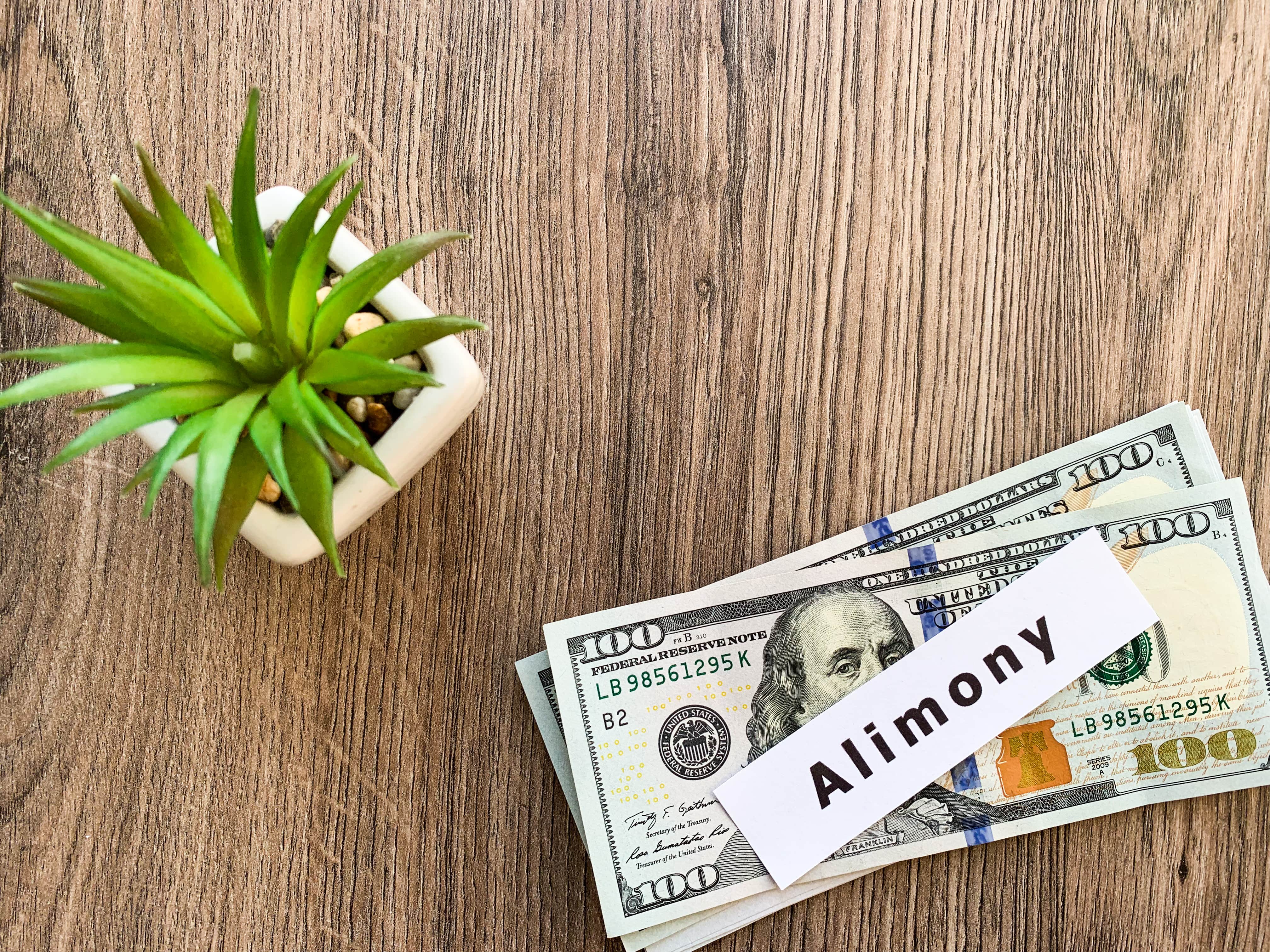 Alimony Payments 